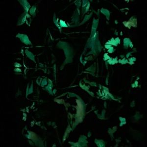 Meet your Posher, Steve